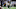 Chicago Bears, David Montgomery