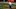 Chicago Bears, Nick Foles Chicago Bears, Nick Foles