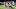 Chicago Bears, Kyle Fuller Chicago Bears, Kyle Fuller