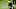 PGA Tour PGA Tour