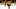 Jun 11, 2017; Nashville, TN, USA; Nashville Predators left wing James Neal (18) and center Mike Fisher (12) react after an empty net goal by Pittsburgh Penguins left wing Carl Hagelin (not pictured) in the third period in game six of the 2017 Stanley Cup Final at Bridgestone Arena. Mandatory Credit: Jerry Lai-USA TODAY Sports Jun 11, 2017; Nashville, TN, USA; Nashville Predators left wing James Neal (18) and center Mike Fisher (12) react after an empty net goal by Pittsburgh Penguins left wing Carl Hagelin (not pictured) in the third period in game six of the 2017 Stanley Cup Final at Bridgestone Arena. Mandatory Credit: Jerry Lai-USA TODAY Sports