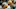 Dennis Rodman of the Dallas Mavericks (Photo by PAUL BUCK / AFP) (Photo credit should read PAUL BUCK/AFP via Getty Images) Dennis Rodman of the Dallas Mavericks (Photo by PAUL BUCK / AFP) (Photo credit should read PAUL BUCK/AFP via Getty Images)