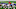New York Giants New York Giants