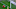Liga MX Week 8 Liga MX Week 8