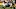Atlanta Falcons Atlanta Falcons