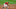 Cleveland Indians Cleveland Indians
