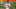 Heisman Trophy candidates Heisman Trophy candidates
