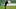 Wolfsburg, Kevin Mbabu Wolfsburg, Kevin Mbabu