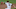 DraftKings MLB DraftKings MLB