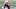 New England Patriots New England Patriots