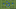 Spurs - Football tactics and formations Spurs - Football tactics and formations