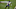 Tennessee Titans WR Corey Davis. Mandatory Credit: Isaiah J. Downing-USA TODAY Sports Tennessee Titans WR Corey Davis. Mandatory Credit: Isaiah J. Downing-USA TODAY Sports