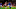 Everton Everton