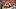 Kansas City Chiefs quarterback option: Tyler Bray Kansas City Chiefs quarterback option: Tyler Bray