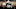 Michigan State Spartans Michigan State Spartans