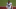 Carson Wentz, Philadelphia Eagles Carson Wentz, Philadelphia Eagles