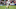 DraftKings college football showdown