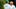 AUGUSTA, GA – APRIL 08: Rickie Fowler of the United States and Joseph Skovron talk on the 18th green during the final round of the 2018 Masters Tournament at Augusta National Golf Club on April 8, 2018 in Augusta, Georgia. (Photo by Jamie Squire/Getty Images) AUGUSTA, GA – APRIL 08: Rickie Fowler of the United States and Joseph Skovron talk on the 18th green during the final round of the 2018 Masters Tournament at Augusta National Golf Club on April 8, 2018 in Augusta, Georgia. (Photo by Jamie Squire/Getty Images)