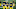 Michigan football Michigan football