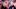 (L-R) Marc Andre ter Stegen of FC Barcelona, Frenkie de Jong of FC Barcelona (L-R) Marc Andre ter Stegen of FC Barcelona, Frenkie de Jong of FC Barcelona