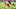 Kansas City Chiefs corner Marcus Peters Kansas City Chiefs corner Marcus Peters