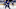 Toronto Maple Leafs Toronto Maple Leafs