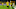 DORTMUND, GERMANY – OCTOBER 19: Marco Reus of Borussia Dortmund celebrates after scoring his team’s first goal during the Bundesliga match between Borussia Dortmund and Borussia Moenchengladbach at Signal Iduna Park on October 19, 2019 in Dortmund, Germany. (Photo by Dean Mouhtaropoulos/Bongarts/Getty Images) DORTMUND, GERMANY – OCTOBER 19: Marco Reus of Borussia Dortmund celebrates after scoring his team’s first goal during the Bundesliga match between Borussia Dortmund and Borussia Moenchengladbach at Signal Iduna Park on October 19, 2019 in Dortmund, Germany. (Photo by Dean Mouhtaropoulos/Bongarts/Getty Images)