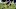 NFL 2021 NFL 2021