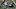 Louisville football punter Logan Lupo Louisville football punter Logan Lupo