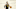 Memphis Grizzlies Memphis Grizzlies