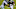 dallas cowboys dallas cowboys