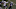 college football dfs