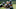 JaMycal Hasty, Quinton Dunbar, Bobby Wagner, San Francisco 49ers, Seattle Seahawks JaMycal Hasty, Quinton Dunbar, Bobby Wagner, San Francisco 49ers, Seattle Seahawks