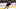 Nashville Predators