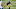 FanDuel FanDuel