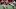 ATLANTA, GA ā JANUARY 08: Nick Chubb No. 27 of the Georgia Bulldogs rushes against the Alabama Crimson Tide during the College Football Playoff National Championship held at Mercedes-Benz Stadium on January 8, 2018 in Atlanta, Georgia. Alabama defeated Georgia 26-23 for the national title. (Photo by Jamie Schwaberow/Getty Images) ATLANTA, GA ā JANUARY 08: Nick Chubb No. 27 of the Georgia Bulldogs rushes against the Alabama Crimson Tide during the College Football Playoff National Championship held at Mercedes-Benz Stadium on January 8, 2018 in Atlanta, Georgia. Alabama defeated Georgia 26-23 for the national title. (Photo by Jamie Schwaberow/Getty Images)