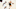 Golden State Warriors (Photo by Alex Goodlett/Getty Images) Golden State Warriors (Photo by Alex Goodlett/Getty Images)