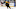 Apr 18, 2021; Boston, Massachusetts, USA; Boston Bruins center Sean Kuraly (52) during the third period against the Washington Capitals at TD Garden. Mandatory Credit: Winslow Townson-USA TODAY Sports Apr 18, 2021; Boston, Massachusetts, USA; Boston Bruins center Sean Kuraly (52) during the third period against the Washington Capitals at TD Garden. Mandatory Credit: Winslow Townson-USA TODAY Sports