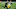 NEW ORLEANS, LOUISIANA – SEPTEMBER 27: Latavius Murray #28 of the New Orleans Saints is pursued by Christian Kirksey #58 of the Green Bay Packers during the first half at Mercedes-Benz Superdome on September 27, 2020 in New Orleans, Louisiana. (Photo by Sean Gardner/Getty Images) NEW ORLEANS, LOUISIANA – SEPTEMBER 27: Latavius Murray #28 of the New Orleans Saints is pursued by Christian Kirksey #58 of the Green Bay Packers during the first half at Mercedes-Benz Superdome on September 27, 2020 in New Orleans, Louisiana. (Photo by Sean Gardner/Getty Images)