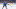 Toronto Maple Leafs
