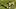 markus wheaton chicago bears markus wheaton chicago bears