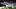 Seattle Seahawks