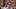 Matthew Bottomley Matthew Bottomley