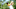 Paul Casey Open Championship DraftKings Paul Casey Open Championship DraftKings