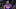 Los Angeles Lakers Los Angeles Lakers