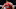 Chicago Bulls Joakim Noah Chicago Bulls Joakim Noah