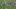 output_QH8XsA