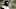 Chicago Bears Leonard Fournette Chicago Bears Leonard Fournette