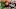 NFL DFS Injuries NFL DFS Injuries
