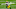 Green Bay Packers Green Bay Packers